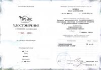 Сертификат студии SHATATU