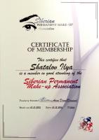 Сертификат студии SHATATU